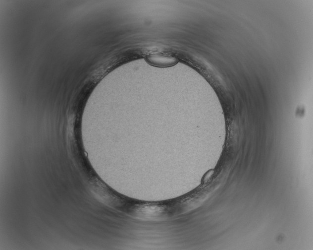 X0000116480217201001201349