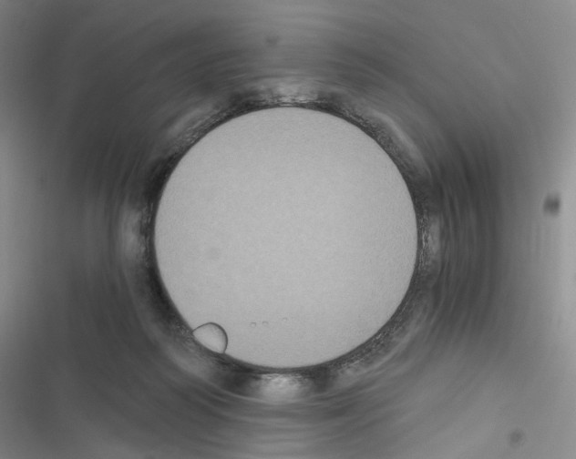 X0000116480218201001201349