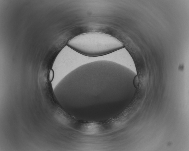 X0000116480219201001201349