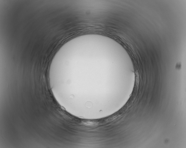 X0000116480221201001201349