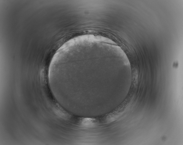 X0000116480222201001201349