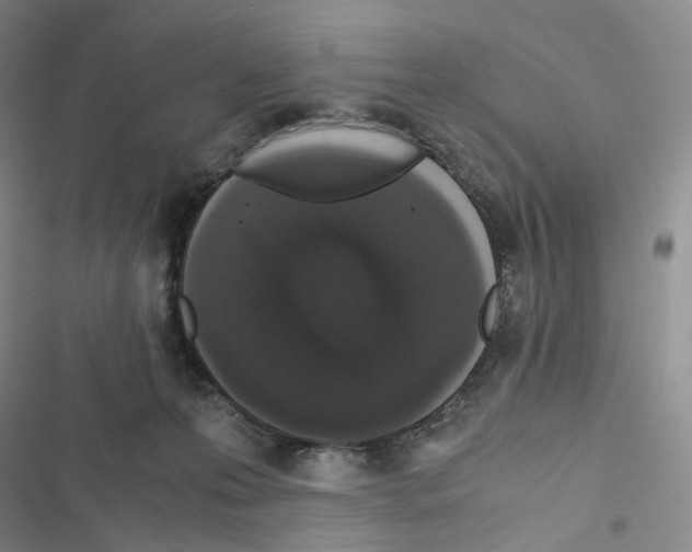 X0000116480223201001201349