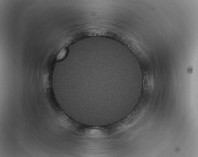 X0000116480224201001201349