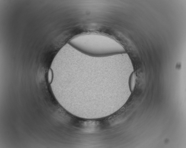 X0000116480225201001201349
