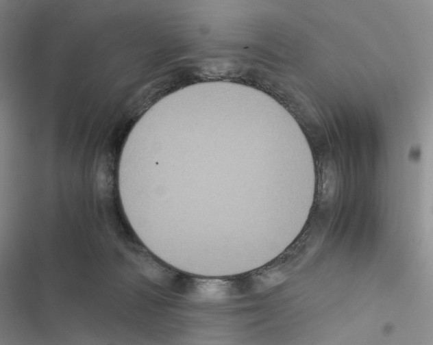 X0000116480226201001201349