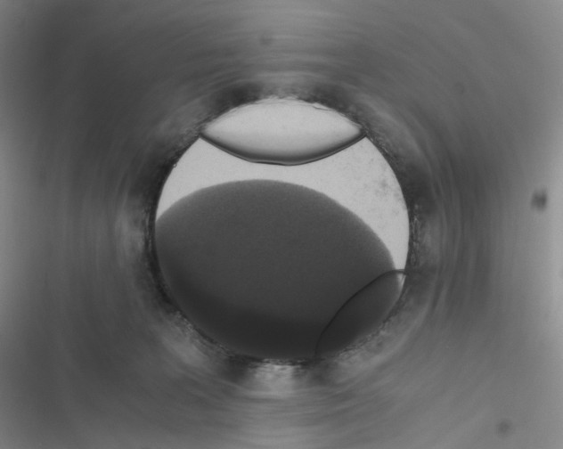 X0000116480227201001201349