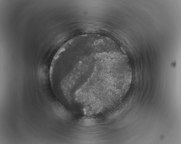 X0000116480228201001201349