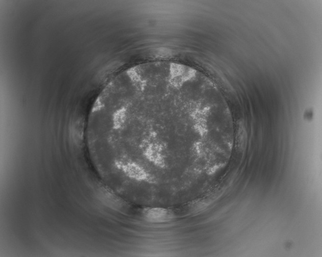 X0000116480230201001201349