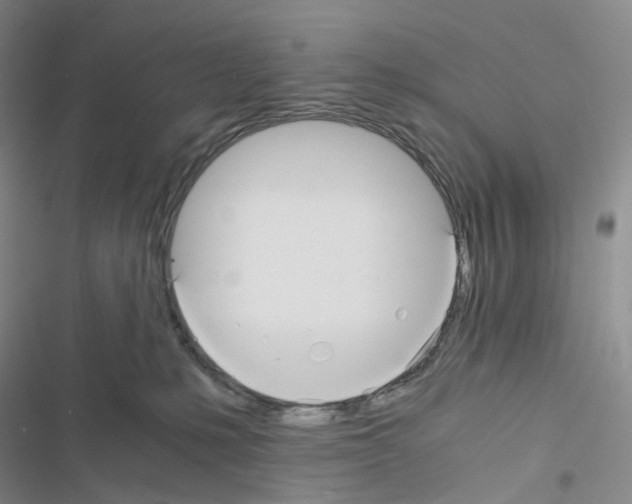 X0000116480231201001201349