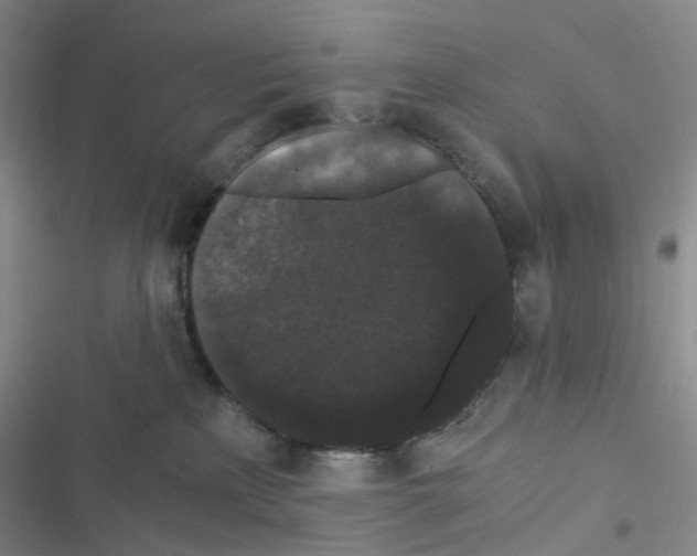 X0000116480233201001201349