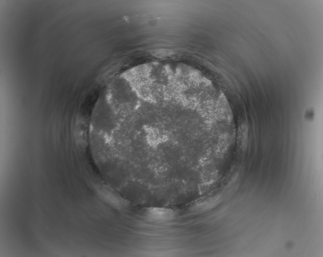 X0000116480234201001201349