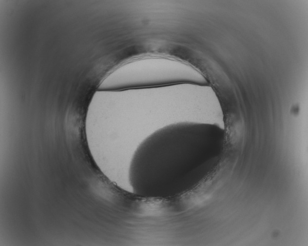 X0000116480235201001201349