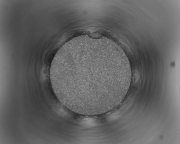 X0000116480236201001201349