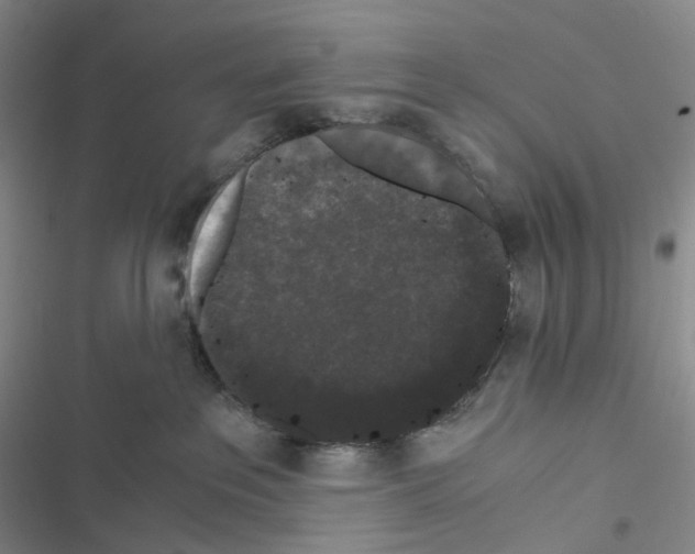 X0000116480237201001201349