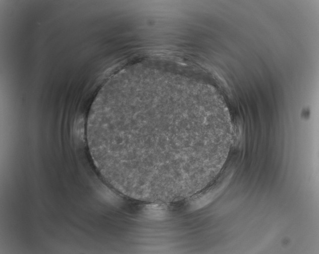 X0000116480238201001201349