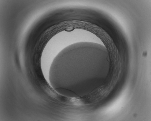 X0000116480239201001201349