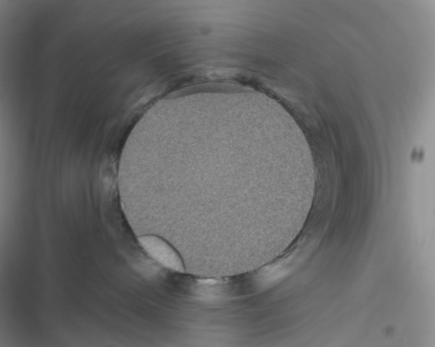 X0000116480240201001201349