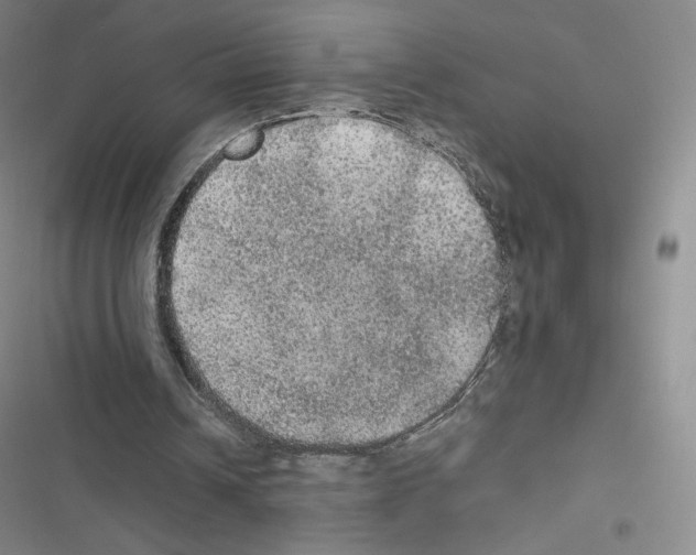 X0000116480242201001201348