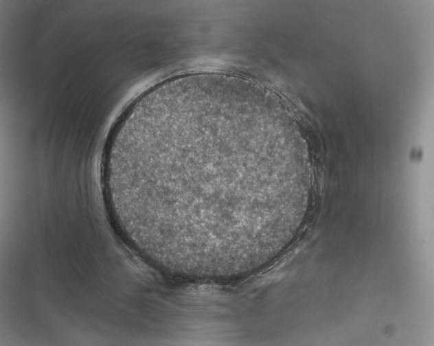 X0000116480244201001201348