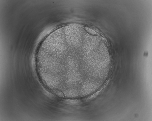 X0000116480245201001201348