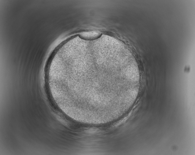 X0000116480246201001201348