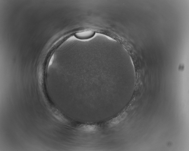 X0000116480247201001201348