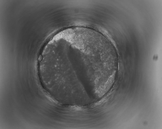 X0000116480249201001201348