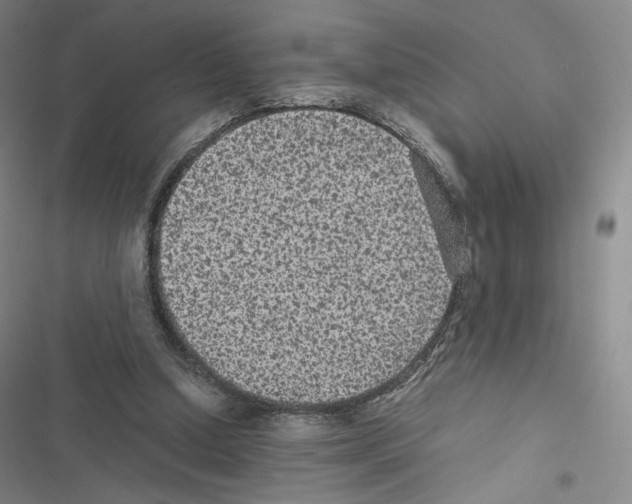 X0000116480250201001201348