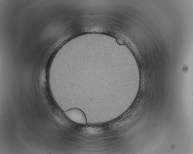 X0000116480251201001201348