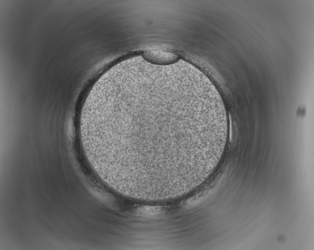 X0000116480252201001201348