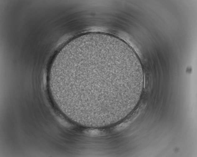 X0000116480253201001201348