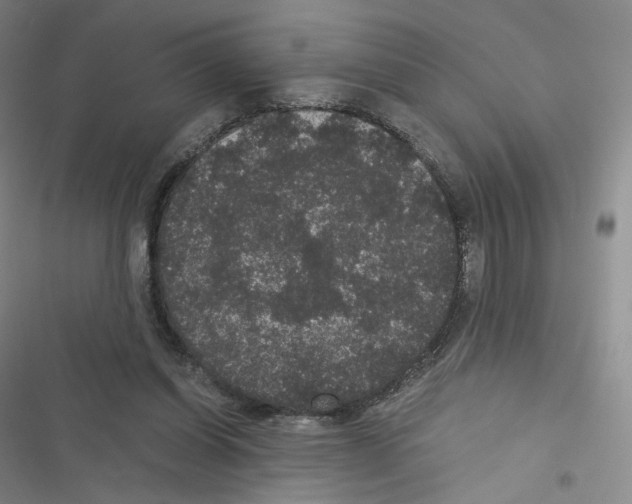 X0000116480254201001201348
