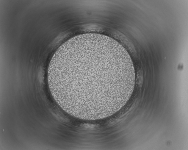 X0000116480255201001201348