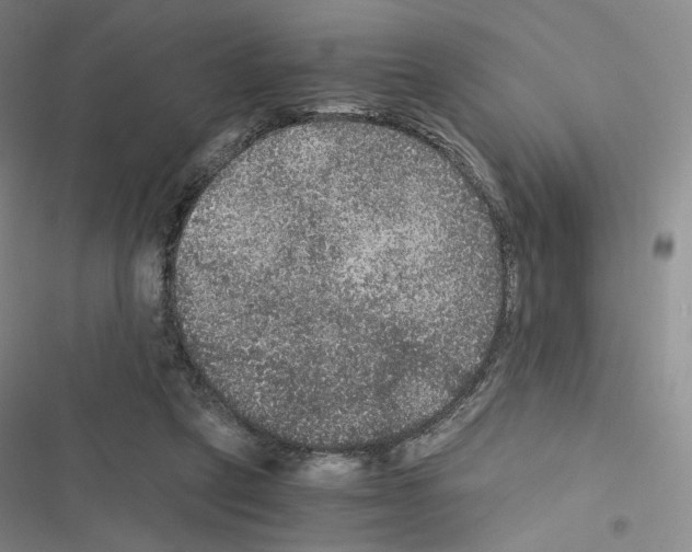 X0000116480257201001201348