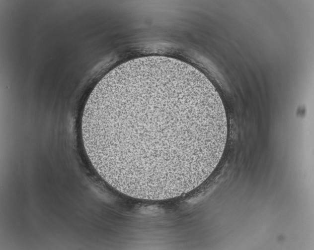 X0000116480258201001201348