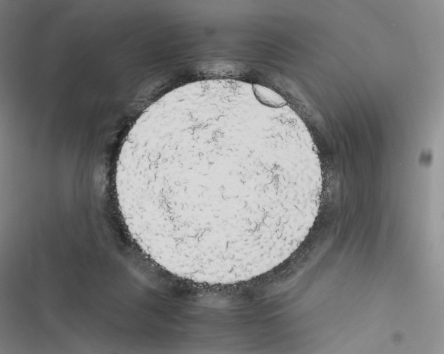 X0000116480259201001201348