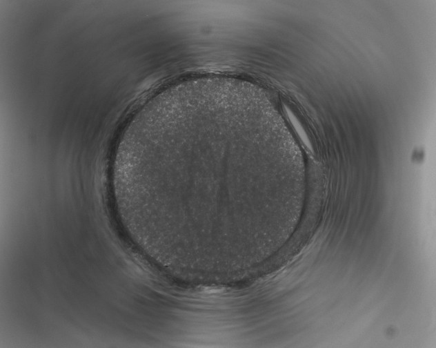 X0000116480260201001201348