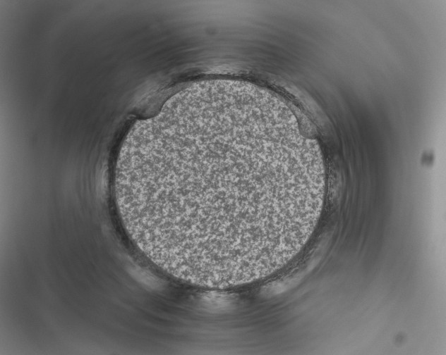 X0000116480261201001201348