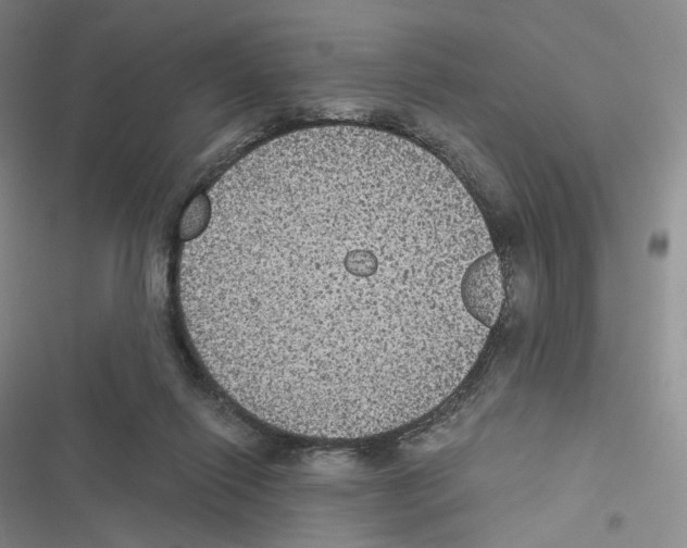 X0000116480262201001201348
