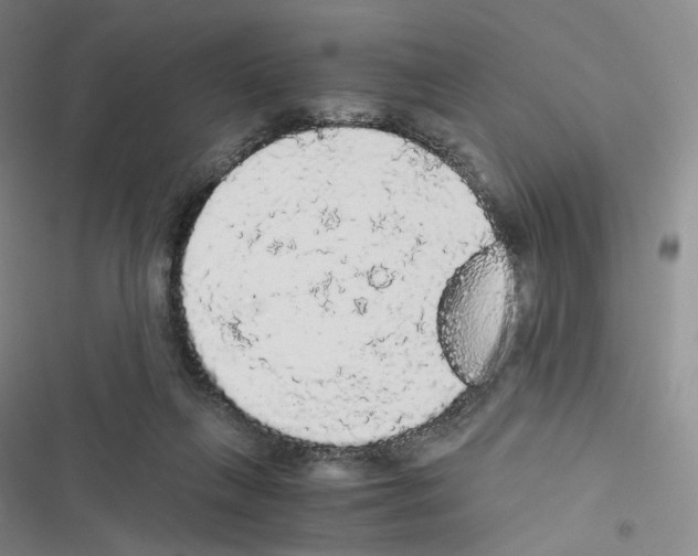 X0000116480263201001201348
