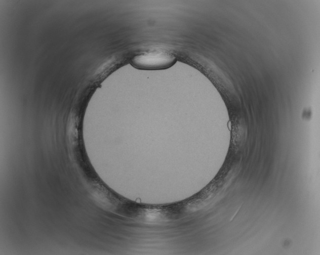 X0000116480264201001201348
