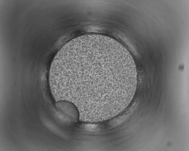 X0000116480265201001201348