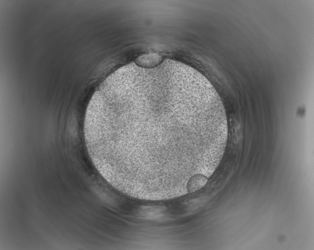 X0000116480266201001201348