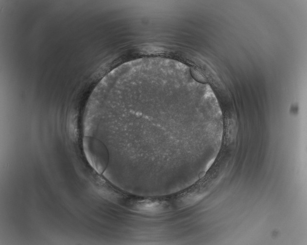 X0000116480267201001201348