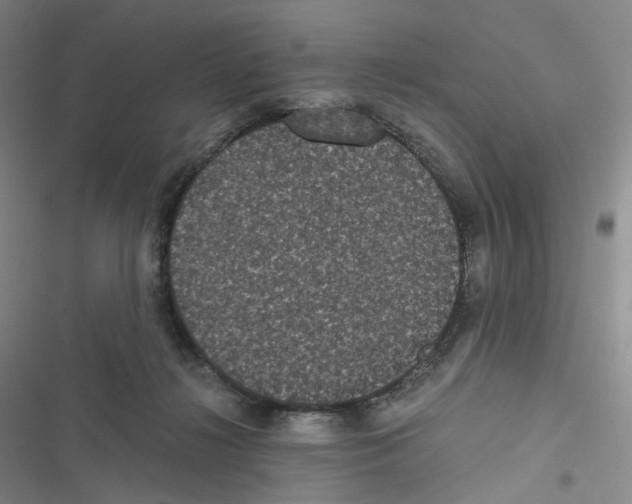 X0000116480268201001201348