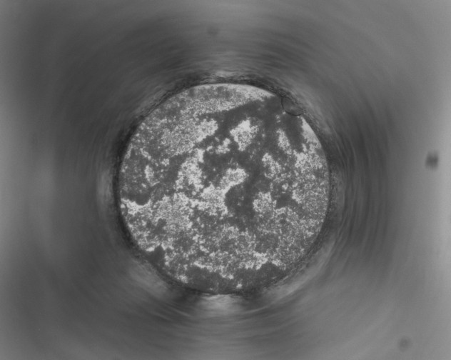 X0000116480269201001201348