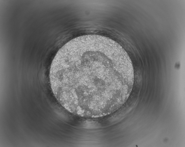 X0000116480270201001201348