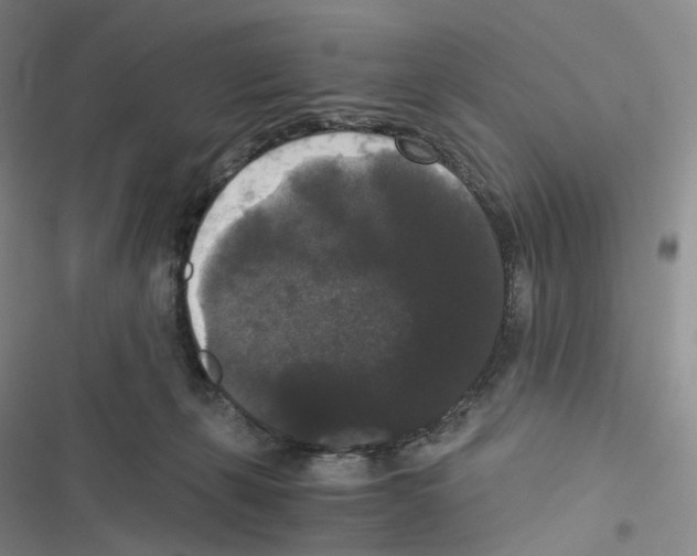 X0000116480271201001201348