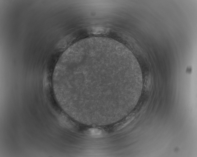 X0000116480272201001201348