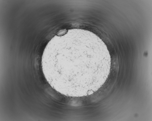 X0000116480275201001201348
